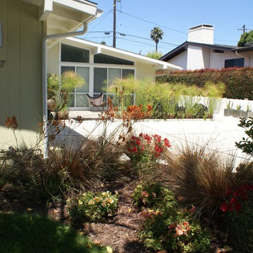 Santa Barbara Mid-Century