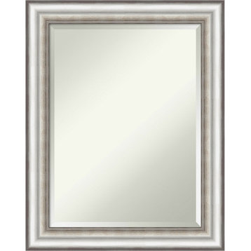Salon Silver Beveled Bathroom Wall Mirror - 23.25 x 29.25 in.