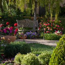 Backyard Bench