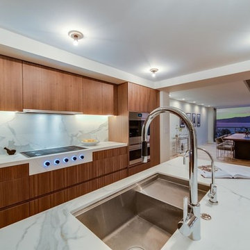 Ocean Ave LA Remodeling Kitchen