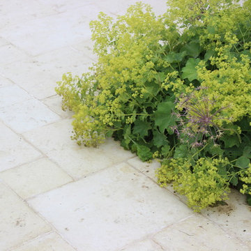 Gradina moderna cu spirit naturalist