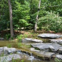 stream