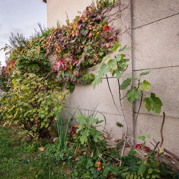 Jardin printemps - Noisy-le-grand