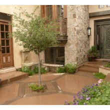 Patio Ideas