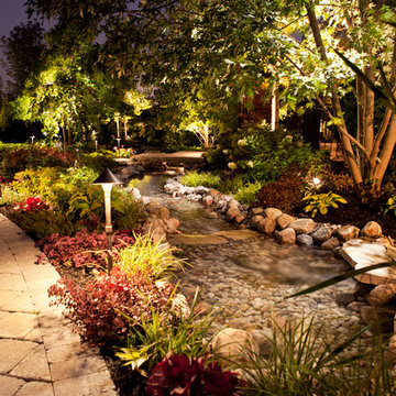 Backyard Rainforest & Garden