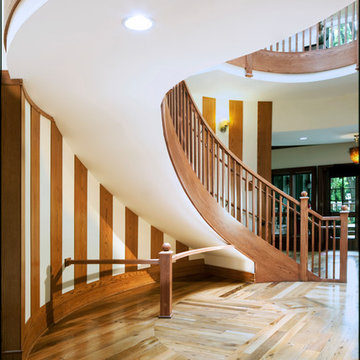 House in the Woods, Oak Lawn, Illinois
