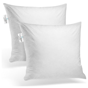 Set Of Two, Down Square Decorative Pillow Insert, 18" X 18"