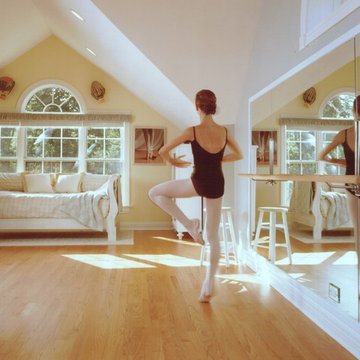 Home and Attic Remodel (Glen Ellyn, IL)