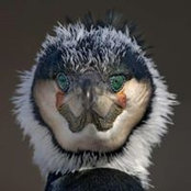 Rain Raimo's photo
