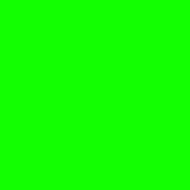 Adam Kobitzs foto