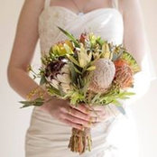 Susan Fordham's photo