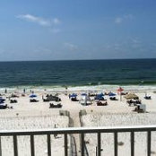 Tammy Gober's photo