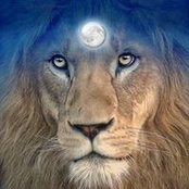 Lyn Andersen's photo