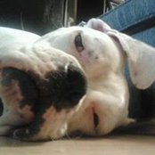 Leah Comeau's photo