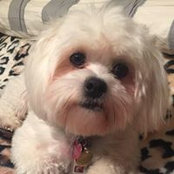 Ann De Ocera's photo