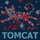 Tom Trial