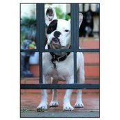 John Hughes's photo