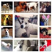 Anne ONeill's photo