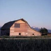 Patty Mowrey's photo