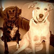 Lynka Lavoie's photo