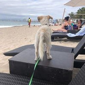 Deborah Donick's photo