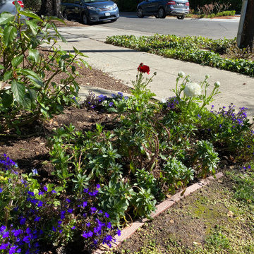 Prominent Palo Alto Corner Now colorful