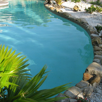 Tarpon Springs Waterfront Transformation