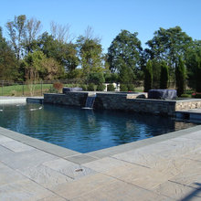 Pool and Backyard