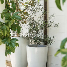 Organic Outdoor Solutions May 2022