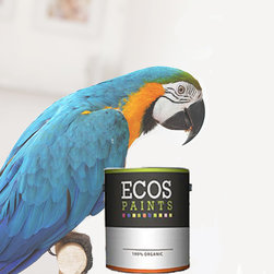 ECOS Bird Cage Paint - Paint