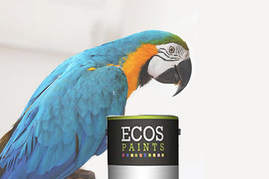 ECOS Bird Cage Paint