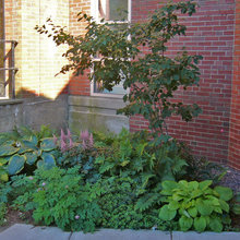 Shady Garden spot