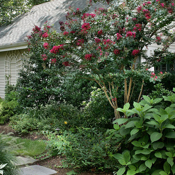 Backyard Getaway - Montclair, NJ