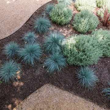 Brentwood Burle Marx Tribute