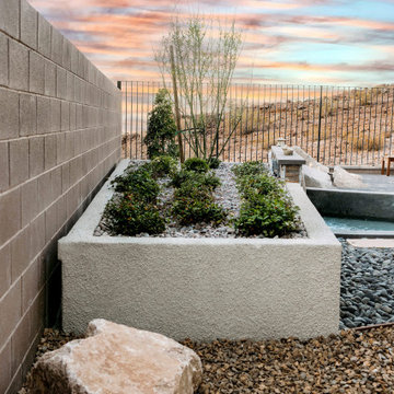 Water + Fire Feature Garden