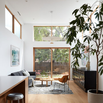 Potrero Hill Residential Remodel & Addition