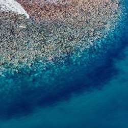 Bower Paradise by Joel Coleman - Photographs