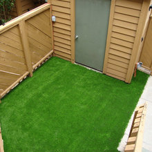 Small Backyard