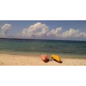 Susan Carter's photo
