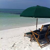 Jen Schenck Cifelli's photo