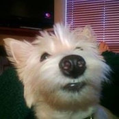 Debbie Bunker's photo