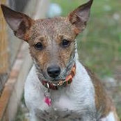 Randi Huber's photo