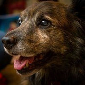 Jan Gremaud's photo