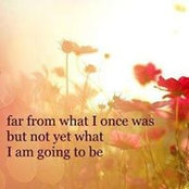 Lynn Wellener's photo
