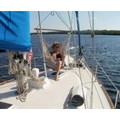Donna Roden's photo