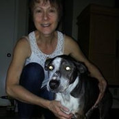 Suzan Rowe's photo