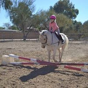 Sharon Miller Pollack's photo