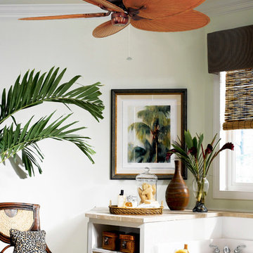 Fanimation Ceiling Fans