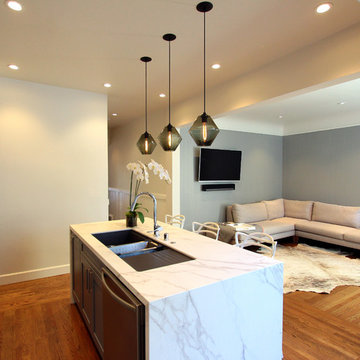 SF-CS Remodel