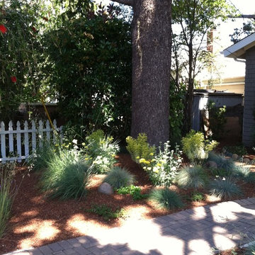 Drought-tolerant garden